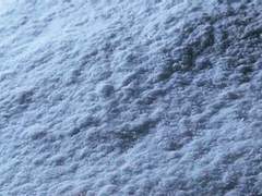 [(남)아델베로] 낙인에 대하여 中