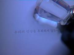 포켓몬 좋아해?