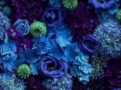 [도일희도]Toxin - 9{完}