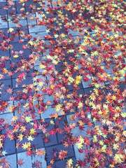 설탕 한 스푼 소다 두 스푼