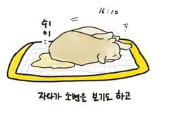 우리 삶의 한 부분이야