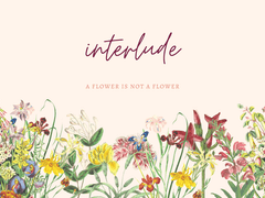 멜키레이 | Interlude