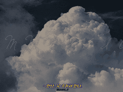 타로카드 커미션