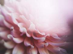 [Horatia] 침묵에 대하여