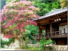 도화각시전 四十五話