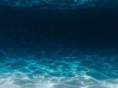 Sailor of the Sea, The Sailor's Sea