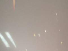 코코의 단골손님들