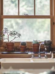 '내가 키운 S급들' 2차 창작 글 모음.