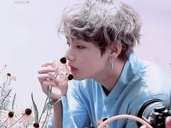 블루 히아신스 00.