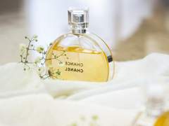 앨러시아 B. 플러렛/7학년/비오렌치아/인장지원 X