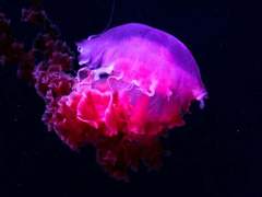 나를 뺀 세상의 전부