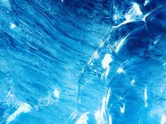 호랑이가 물어간 아이