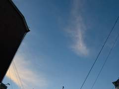 일년여가 지난 뒤 꾼 꿈