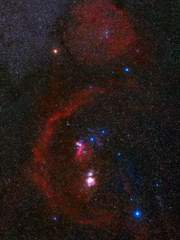 [아이스티 타입] 당신의 달콤함을 사랑했습니다.