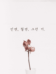 인연, 필연. 그런 거.