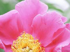 1. 과거의 시곗바늘