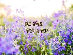 [보쿠아카]알고 싶어요. 당신이 누구인지.