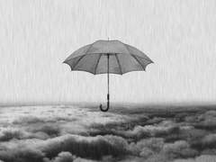 월계관 또는 키스