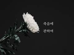 죽음에 관하여_4