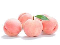 Please tell me who you are. - 01.