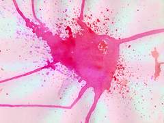 호르몬을 찾아서