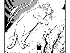 꼬리 짧은 고양이