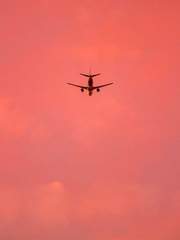 러브 이즈 뮤추얼