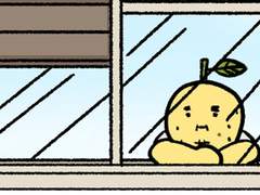 나도나도 레이스