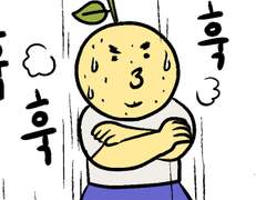 나의 아름다운 다이어트