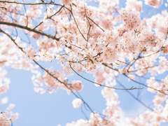 네가 날 좋아하는 열 가지 이유