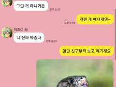 [안즈른] 카톡 한 번 해볼까? 4