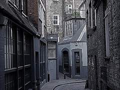 Mishka Evergreen. 03(1)