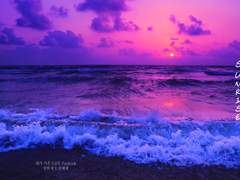 [현제태원] SUNRISE