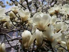 후회는 언제나 늦어,