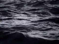 리암노엘/ 물고기와 나비의 사랑 06