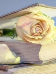 작은 마음을 모아