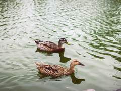 完. 현실에서, 사랑을 담아