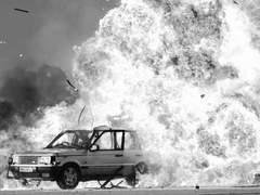 [신노이신]나무와 사과 1