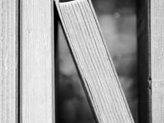 [조슈바네] virtue