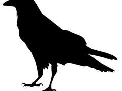 황혼 아래, 우리의 꿈 로그 정리