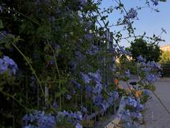 목걸이와 반지의 차이점