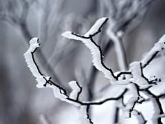 미지근한 연애 (3)