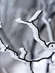 미지근한 연애 [완결]