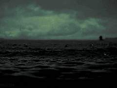 [ 폰투스 F. L. 에르하르트 | 순수혈통 | 래번클로 | 죽음을 먹는 자 ]