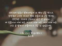 우리 엄마도 형 싫어했어.