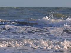 텁텁한 공기의 내음을.