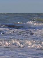 포르테아 연성글