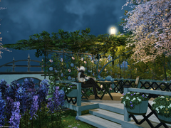 200713 라벤더 안식처