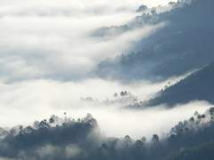 [망기무선] 如風 -下-