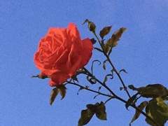 칠흑의 인과 한구 언급